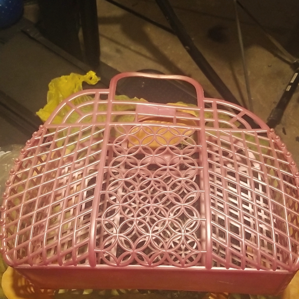 Antique hard plastic bag